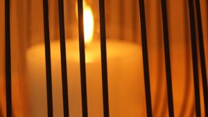 Photo Leadership potential