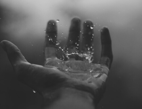 Heal the Pain, Build the Power: Transforming Past Wounds into Future Triumphs
