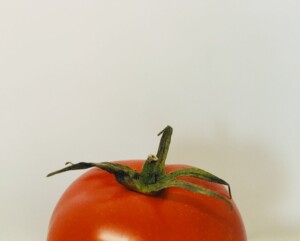 Photo Pomodoro timer