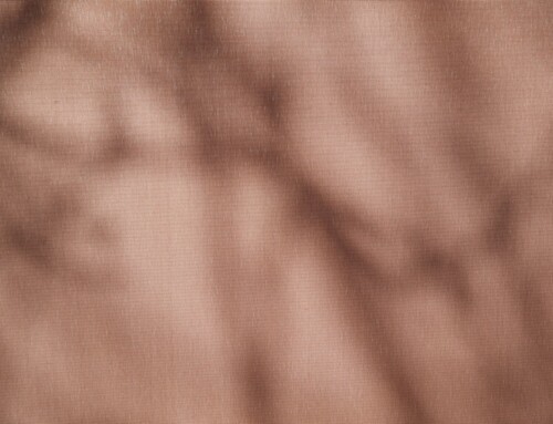 From Chaos to Clarity: How Lawyers & Financiers Regain Focus with Tony J. Selimi