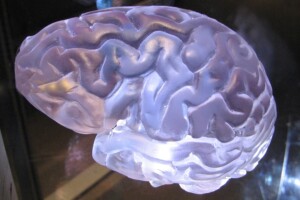 Photo Neuroscience of Self‑Mastery