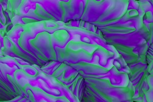 Photo Neuroscience of Self‑Mastery