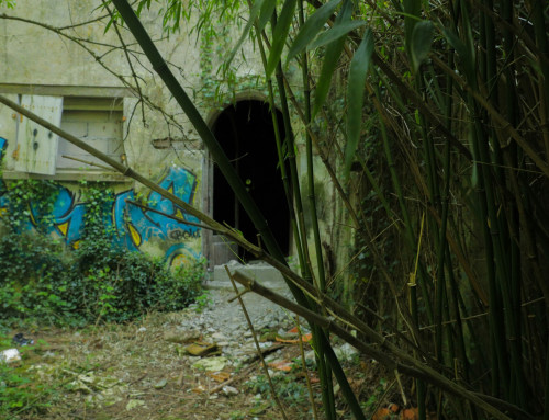 The Collapse of Old Infrastructures: How Visionary Leaders Build New Systems for a Fast‑Tech World