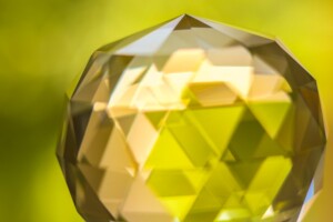 abcdhe | Tony J. Selimi Photo Octagon of Excellence