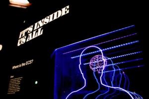 Photo Neuroscience and AI