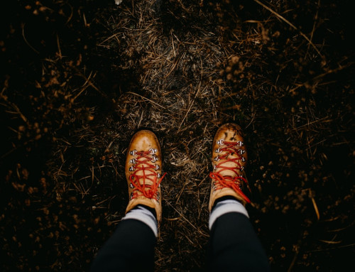 The Unfakeable Code: Why Authenticity Is the New Currency of Influence