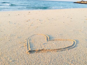 Photo Relationships