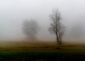 Photo Loneliness