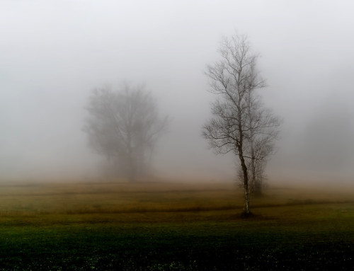 The Truth About Loneliness in the Digital Age and How Leaders Can Overcome It