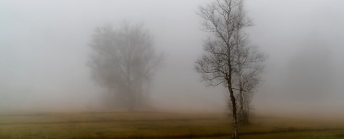 Photo Loneliness