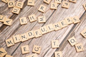image-18 | Tony J. Selimi Photo Mindfulness for Business Leaders
