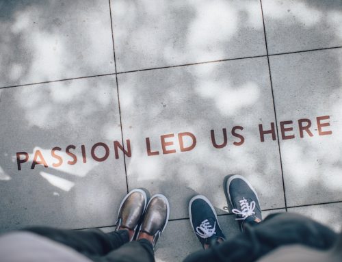 Why Most Leadership Development Fails: The Behavioural Change Principles CEOs Need Now